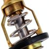 Weonaroll Cooling Thermostat 60℃ Thermostat for Suzuki-7