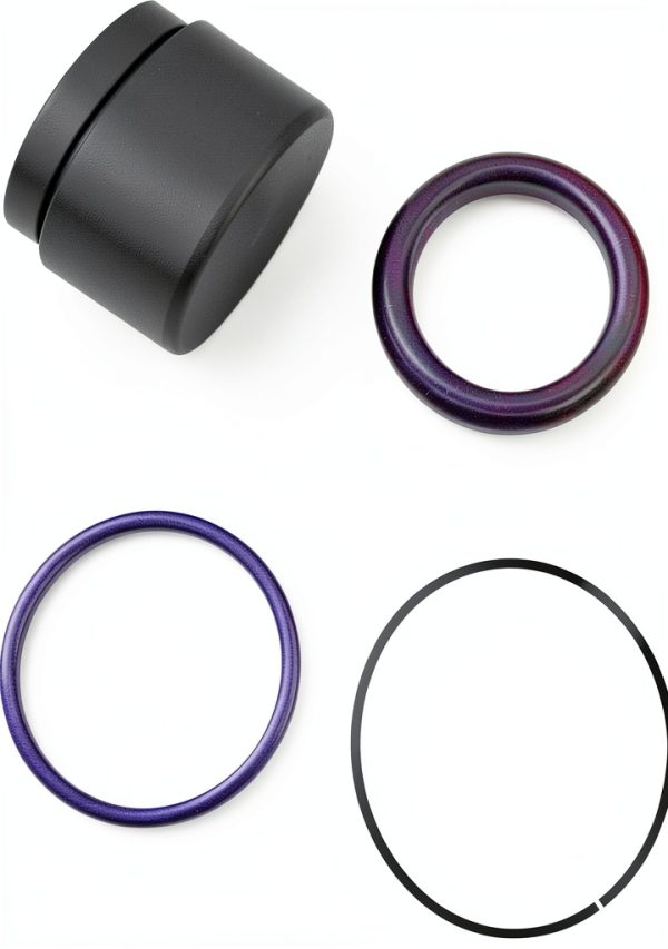Rear Caliper Piston Rebuild Seal Kit XTPTFABS for Harley 1200/883-5